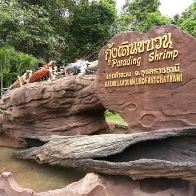 Ubon Ratchathani Prepares For The Annual “Parading Shrimp” Festival